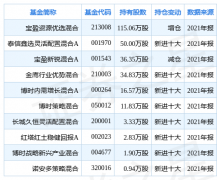 左江科技跌608%基金宝盈资源优选混合重仓该股